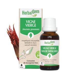 Vigne vierge (Ampelopsis tricuspidata) j.p. BIO, 30 ml